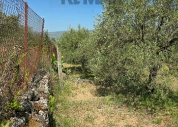 Giardino - Terreno agricolo Contrada Pianodario
snc, Randazzo - foto 29