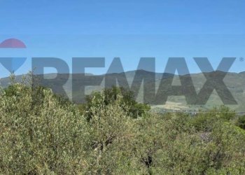 Vista delle montagne - Terreno agricolo Contrada Pianodario
snc, Randazzo - foto 30