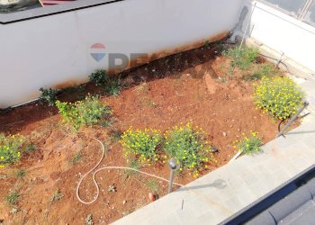 Giardino - Semi-detached house Via Magellano
 
snc, Carini - photo 20