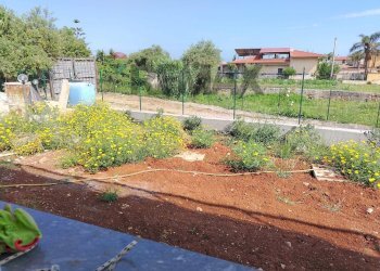 Giardino - Semi-detached house Via Magellano
 
snc, Carini - photo 25