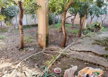 Giardino - Independent house via Gesù e Maria
 
22, Carini - photo 46