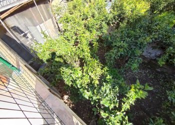 Giardino - Independent house via Gesù e Maria
 
22, Carini - photo 48