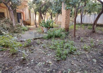 Giardino - Independent house via Gesù e Maria
 
22, Carini - photo 51