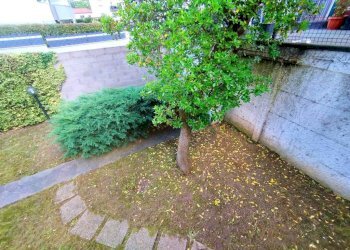 Giardino - Villa via Francesco Petrarca, 43, Rho - photo 6