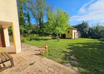 img-20260527-wa0002 - Rustico Agugliano - foto 10