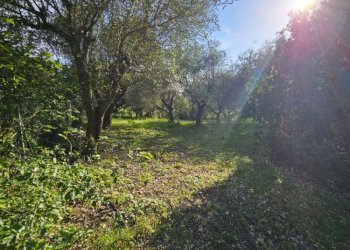 img-20260527-wa0035 - Rustico Agugliano - foto 32
