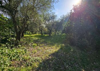 img-20260527-wa0037 - Rustico Agugliano - foto 34