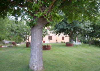 termineaguglianodscn1094 (14) - Rustico Agugliano - foto 37
