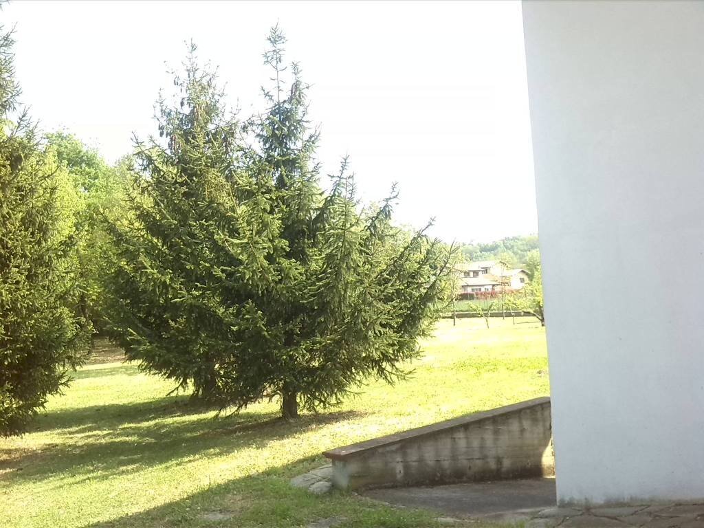 Giardino - Negozio via Torino, Milano - foto 1