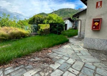 Giardino - Negozio via della Chiesa, Firenze (zona San Frediano) - foto 33