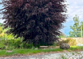 Terreno - Negozio via della Chiesa, Firenze (zona San Frediano) - foto 38