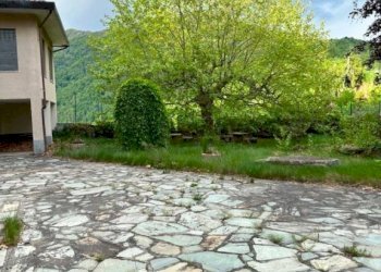 Giardino - Negozio via della Chiesa, Firenze (zona San Frediano) - foto 39