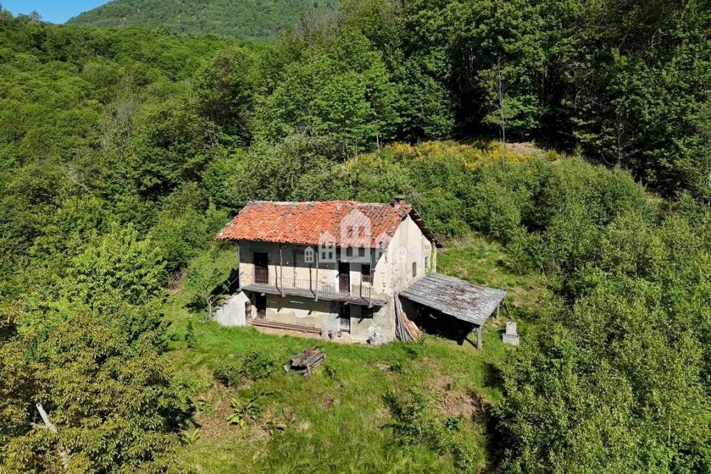 Terreno - Rustico via Luinengo Cossi, snc, Borgiallo - foto 1