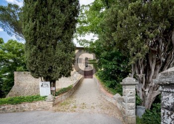 Zona - Stabile - Palazzo strada provinciale 102, Radda in Chianti - foto 2