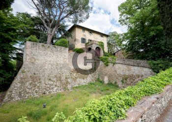 Terreno - Stabile - Palazzo strada provinciale 102, Radda in Chianti - foto 3