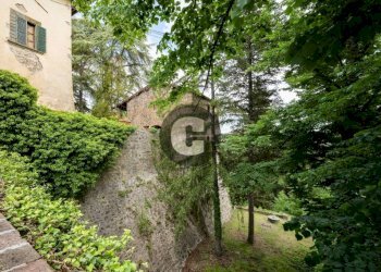 Giardino - Stabile - Palazzo strada provinciale 102, Radda in Chianti - foto 5
