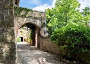 Zona - Stabile - Palazzo strada provinciale 102, Radda in Chianti - foto 7