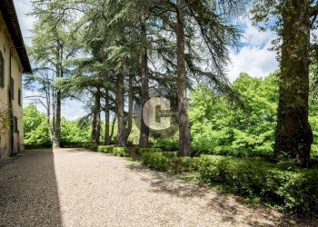 Giardino - Stabile - Palazzo strada provinciale 102, Radda in Chianti - foto 14
