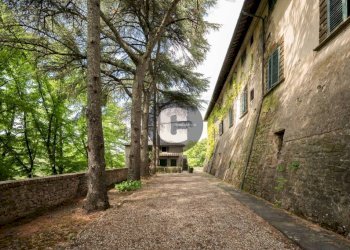 Giardino - Stabile - Palazzo strada provinciale 102, Radda in Chianti - foto 17