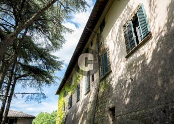 Facciata - Stabile - Palazzo strada provinciale 102, Radda in Chianti - foto 18