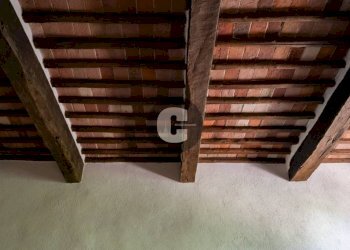Altro - Stabile - Palazzo strada provinciale 102, Radda in Chianti - foto 27