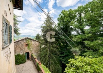 Giardino - Stabile - Palazzo strada provinciale 102, Radda in Chianti - foto 36