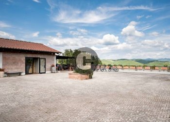 Zona - Stabile - Palazzo strada provinciale 102, Radda in Chianti - foto 41