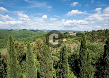 Vista - Stabile - Palazzo strada provinciale 102, Radda in Chianti - foto 43