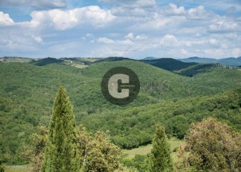Zona - Stabile - Palazzo strada provinciale 102, Radda in Chianti - foto 45