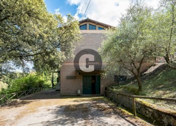 Terreno - Stabile - Palazzo strada provinciale 102, Radda in Chianti - foto 46
