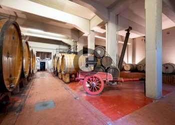 Interno non residenziale - Stabile - Palazzo strada provinciale 102, Radda in Chianti - foto 47