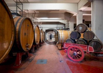 Interno non residenziale - Stabile - Palazzo strada provinciale 102, Radda in Chianti - foto 48