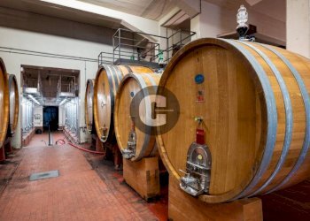 Magazzino - Stabile - Palazzo strada provinciale 102, Radda in Chianti - foto 50