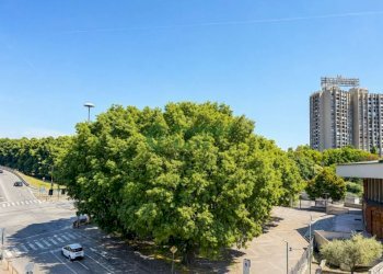 vista  - Appartamento corso Vercelli, 388, Torino - foto 34