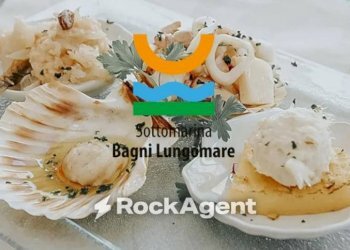 Altro - Attività Commerciale Lungomare Adriatico, Chioggia - foto 7