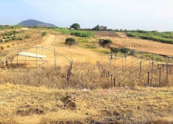 Terreno - Rustico viale Pigni di Don Fabrizio, Alcamo - foto 15