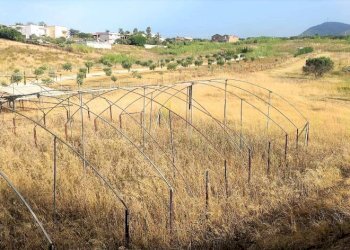 Terreno - Rustico viale Pigni di Don Fabrizio, Alcamo - foto 21