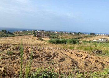 Terreno - Rustico viale Pigni di Don Fabrizio, Alcamo - foto 22