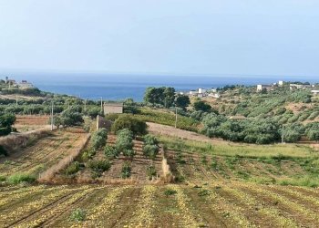 Terreno - Rustico viale Pigni di Don Fabrizio, Alcamo - foto 25