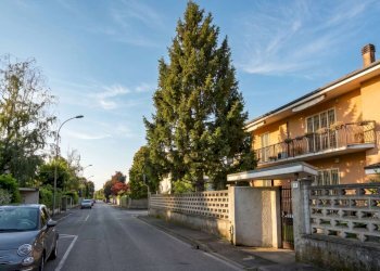 Four-room apartment Cernusco sul Naviglio - photo 2