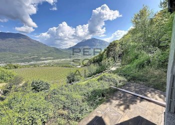Foto 2 - Farm Trento - photo 2