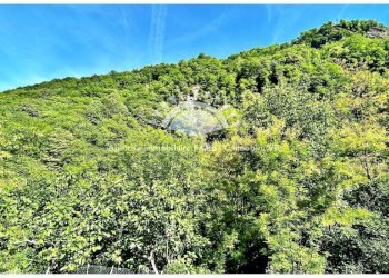 Terreno - Villa strada Statale di Valle Cannobina, Cannobio - foto 25