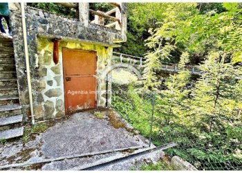 Giardino - Villa strada Statale di Valle Cannobina, Cannobio - foto 28