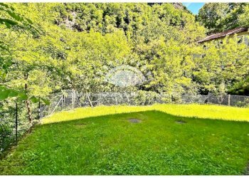 Giardino - Villa strada Statale di Valle Cannobina, Cannobio - foto 29