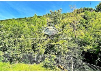 Terreno - Villa strada Statale di Valle Cannobina, Cannobio - foto 37