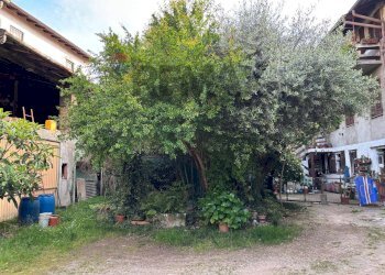 Giardino - Bilocale VIA MAZZINI
 
15, Binago - foto 22