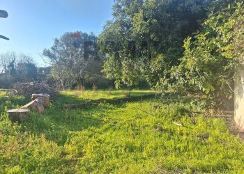 Giardino - Villa Via Vecchiuzzi
 
6, Aci Bonaccorsi - foto 3