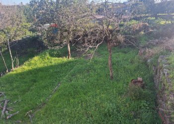 Giardino - Villa Via Vecchiuzzi
 
6, Aci Bonaccorsi - foto 4