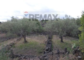 Giardino - Terreno agricolo Via Timpazza
snc, San Pietro Clarenza - foto 1
