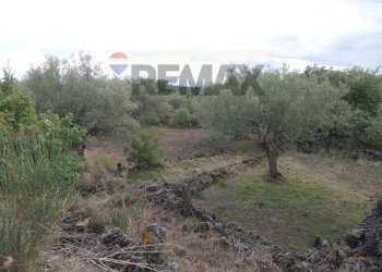 Giardino - Terreno agricolo Via Timpazza
snc, San Pietro Clarenza - foto 2